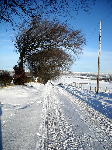 Snow Covered Road from Park Farm