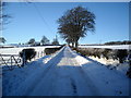 Snow Covered Road to Highhill Cottage