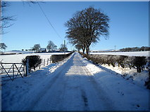 NS5751 : Snow Covered Road to Highhill Cottage by Iain Thompson