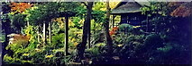 N7311 : Kildare - Japanese Gardens - Tea House by Joseph Mischyshyn