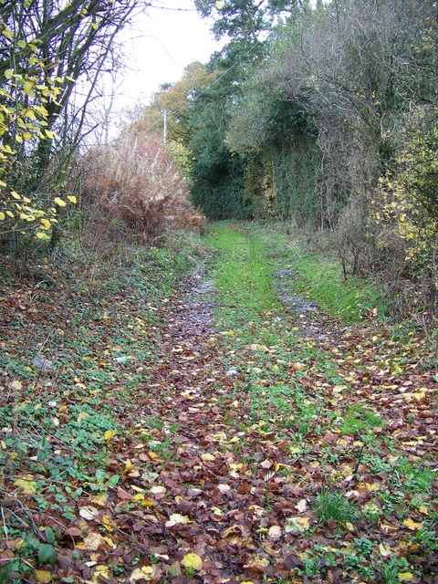 Footpath, Lambourn Woodlands