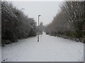 Tiverton : Path & Snow Scene