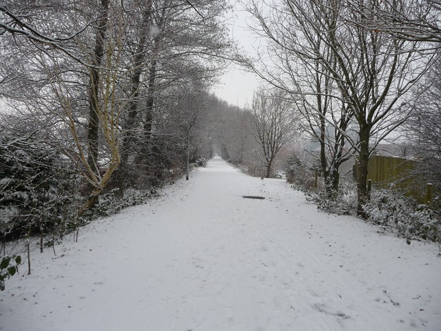 Tiverton : Path & Snow Scene