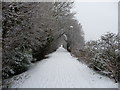 Tiverton : Path & Snow Scene