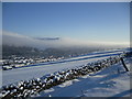 Wood street and Galashiels from Blynlee