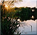 Sunset at Carleton Hill Fishery