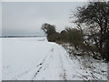 Snowy byway from Hammill to Eastry