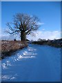 Lingham Lane, Dishforth