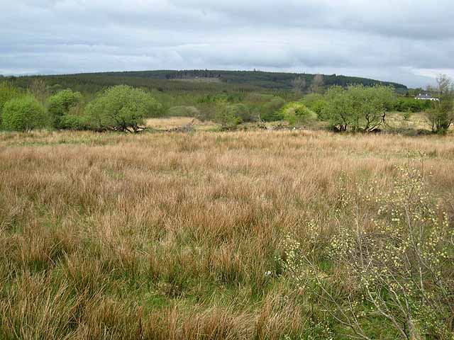 Marshy land at Doogary
