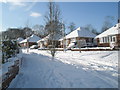 Snow covered homes in Pinewood Avenue