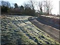 Frosty grass near Bradley Green