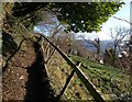 Cotswold Way climbing Wotton Hill