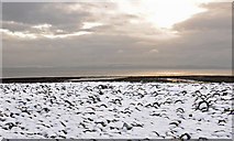 SS9567 : Snow coated boulders on Llantwit Major beach by Mick Lobb