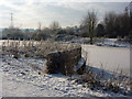 Snow and ice along the River Gipping