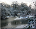 River Gipping and Chantry Cut meet