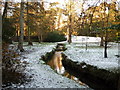 Bournemouth Gardens: upstream towards Prince of Wales Road