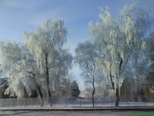 Frosty day in Carfin