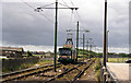 Tram at Broadwater