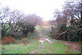 Muddy path near Vellow Wood