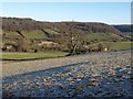 Frosty field above Waterley Bottom