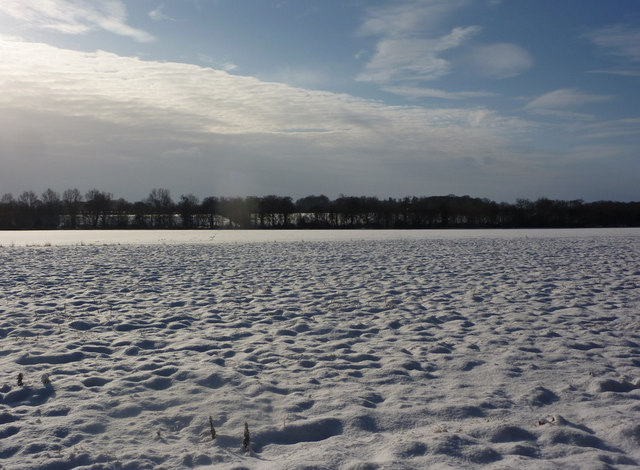 View across open snow covered field