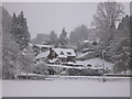 View across park in Haslemere