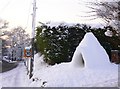 Surrey igloo