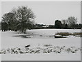 Little Studley Nature Reserve