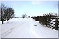SP3252 : Lane to Moreton Paddox from entrance to Lodge Farm by David P Howard