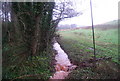 A red stream, Aller Farm