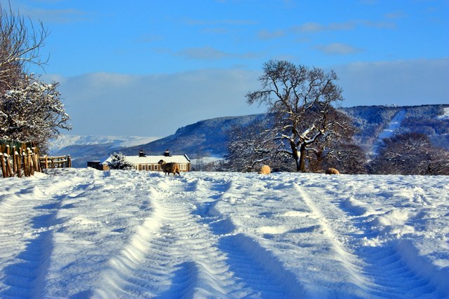 Field in Snow, East Harlsey