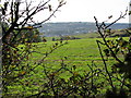 Looking SW from footpath to Whitfield