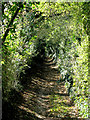 A view along the North Downs Way