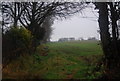 Field on the edge of Williton