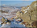 Conwy Rhyolite outcrop