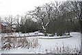 On Frozen Pond