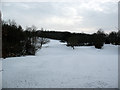 Sundridge Park golf course in the snow