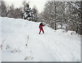 Skiing the track to Dalton Gill