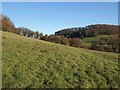 Hillside, Waterley Bottom