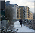 Riverside cycleway to Ipswich