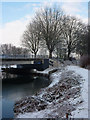 Riverbank towards Yarmouth Road bridge