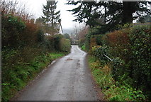 ST1139 : Hill Lane by N Chadwick