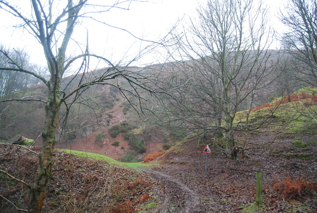 Disused Quarry, Bicknoller Hill