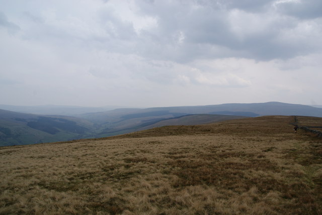 Looking along the ridge of Rise Hill