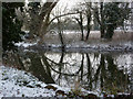 Riverbank and reflections