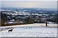 Snow covered fields