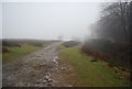 Macmillan Way West above Crowcombe in the mist