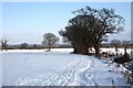 Bridleway to Hanley Swan