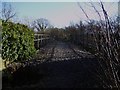 Disused viaduct near Baddesley Ensor