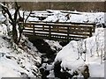 Wooden Bridge In Luggie Glen